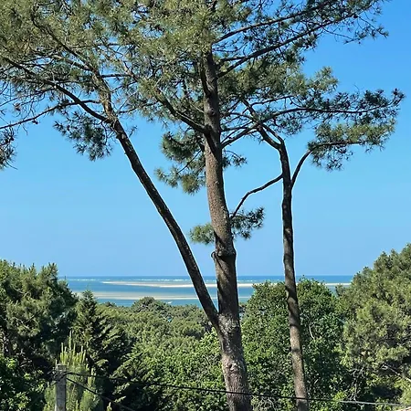 Architect House Facing The Arcachon Basin Vakantiehuis Pyla Sur Mer